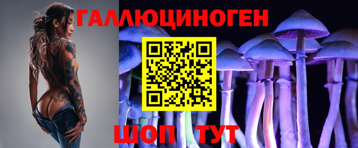 Каннабис  A-PVP СК   КОКАИН  МЕФ   Кемерово  Гашиш  Вход с VPN 